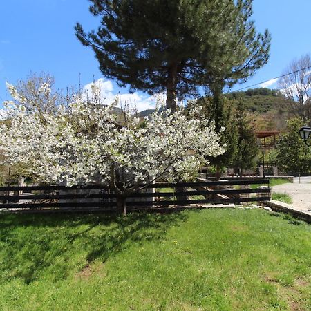 Family'S Houses Kalavryta Luaran gambar